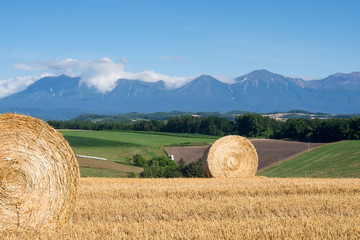 ロールベールラップサイロと十勝連峰