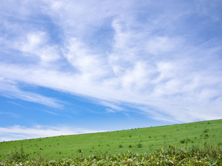 牧草地の丘