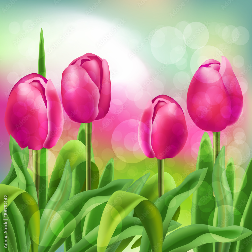 Poster Tulips Background