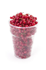 Fresh ripe organic red currants in a plastic glass on a white background