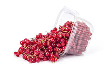 Box or punnet and spilled fresh ripe organic red currants on a white background - 86792393