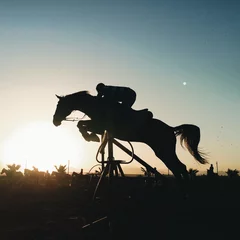Foto op Aluminium Jumping horse silhouette © Dayzi