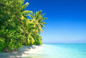 Traumstrand