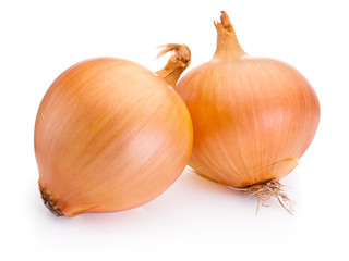 Two onion bulbs isolated on white background