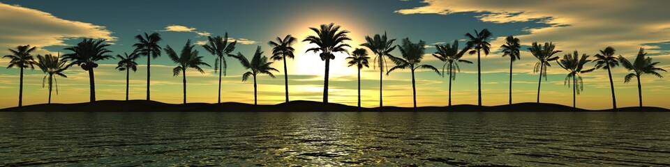 Sea sunset. Panorama. Palm trees against the sky.