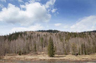 Mountain Landscape