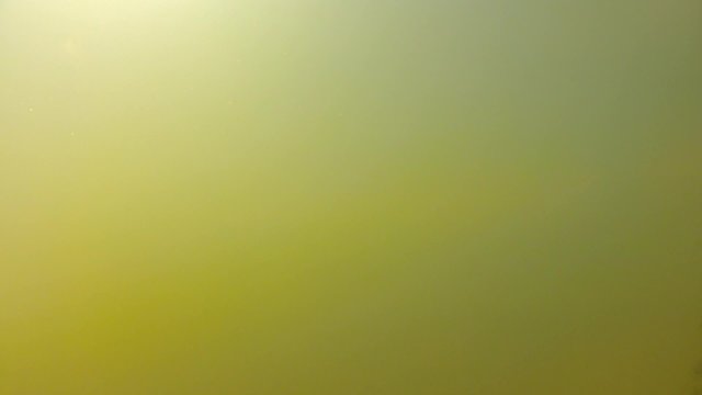 an underwater shot of murky water in a pond