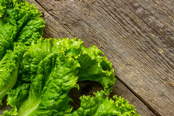 Lettuce on the old board