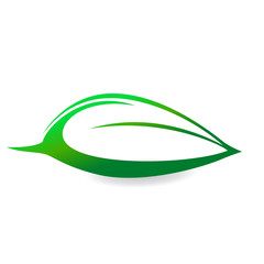 green leaf symbol vector icon sign illustration