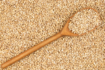 Wooden spoon with pearl barley