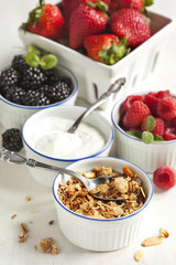 Homemade granola with yogurt and berry