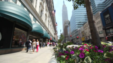 People walking down 34th street in New York City. Focus is on flowers and leaves in tree pot.