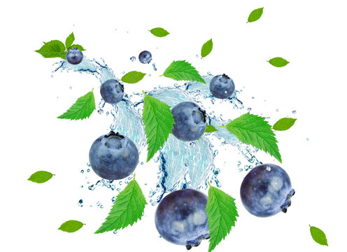 blueberry splash