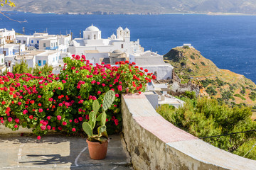 Naklejka premium Typical Cycladic Architecture, Plaka village, Milos island, Cyclades, Greece