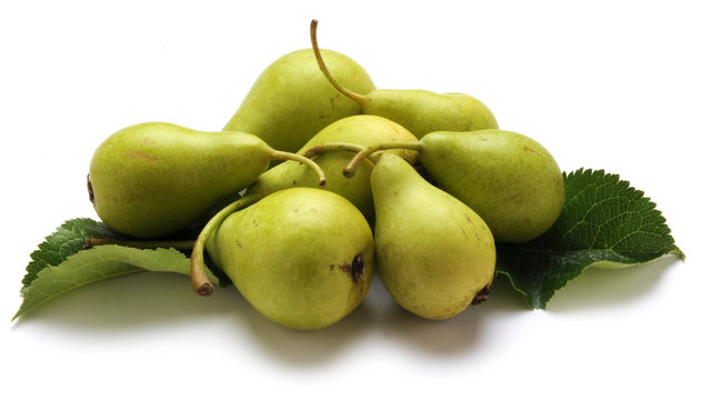 Per Piro K&scaron;u&scaron;ka Hru&scaron;ka Bir Груша P&aelig;re Poire Pear Pere Pyrus Pomo Falso frutto