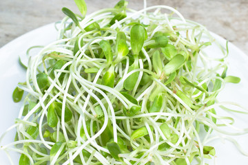 Sunflower sprouts in white dish