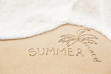 Inscription of the word Summer and palm tree drawing on wet yell