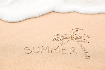 Inscription of the word Summer and palm tree drawing on wet yell