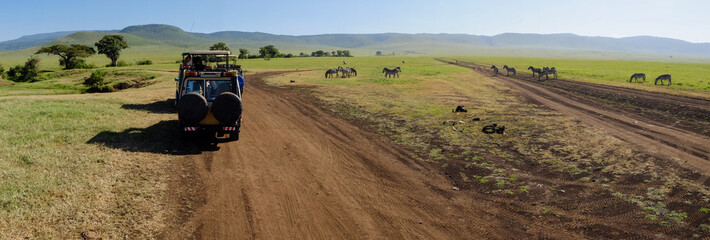 Ngorongoro crater safari - obrazy, fototapety, plakaty