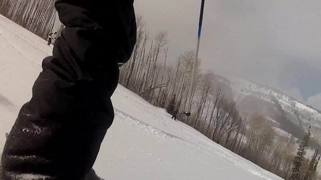 beautiful powder skiing day