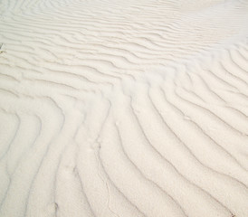  texture of sand