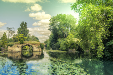 Peaceful lake