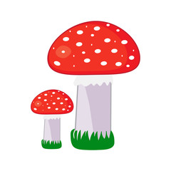 Mushrooms with a red hat