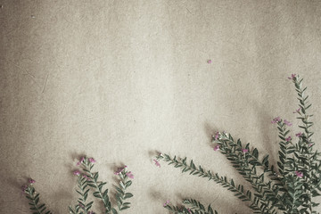 weed flowers in vintage color style on mulberry paper texture for background
