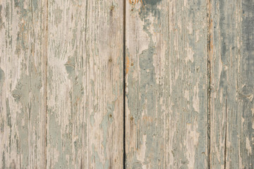 Fototapeta premium Holz Grunge Grau