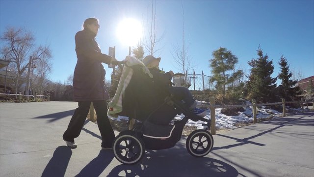 mother walks toddler in a stroller around the zoo
