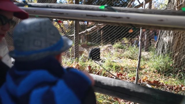 mother and baby at zoo looking at monkey