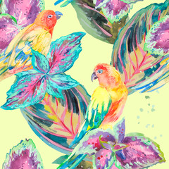 Watercolor Parrots .Tropical flower and leaves.  - 86807923