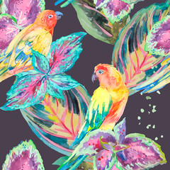 Watercolor Parrots .Tropical flower and leaves.  - 86807942