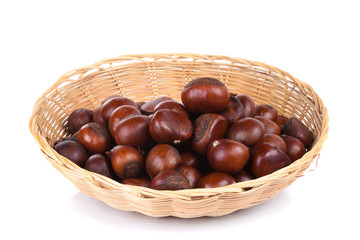 chestnuts sit on a white background