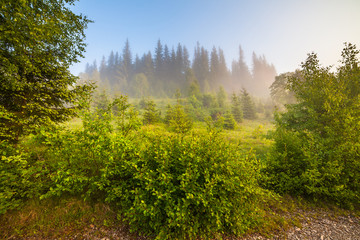 Beautiful sunrise with the morning mist