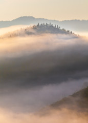 Beautiful sunrise with the morning mist
