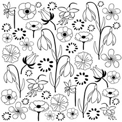 leaf and flower set 4 hand drawn illustration black & white variation