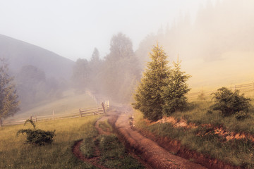 Beautiful sunrise with the morning mist