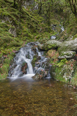 Small waterfall in mossy woodland.