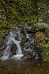 Small waterfall in mossy woodland.