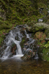 Fototapeta premium Small waterfall in mossy woodland.