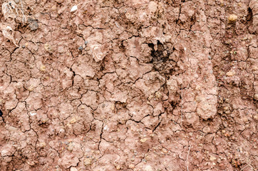 Crack soil on dry season, Effect of Global worming, Soil backgro