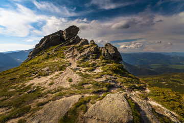 Magic pink rhododendron flowers in the mountains