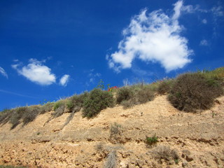 Mediterranean landscape with vegetation and blue sky