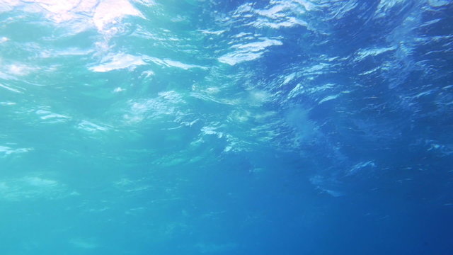 Surge of the Sea
