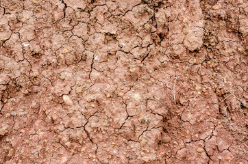 Crack soil on dry season, Effect of Global worming, Soil backgro