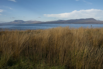 Obraz premium Bantry Bay in Winter