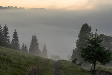 Obraz premium Beautiful sunrise with the morning mist