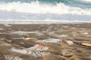 White foam on a sea water surface
