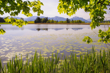 See bei Roßhaupten im Allgäu in Bayern